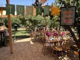 {{brizy_dc_image_alt imageSrc=