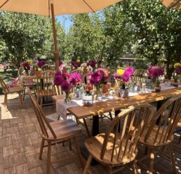 {{brizy_dc_image_alt imageSrc=