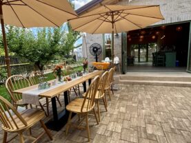 {{brizy_dc_image_alt imageSrc=