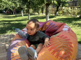 {{brizy_dc_image_alt imageSrc=