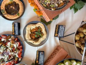 {{brizy_dc_image_alt imageSrc=