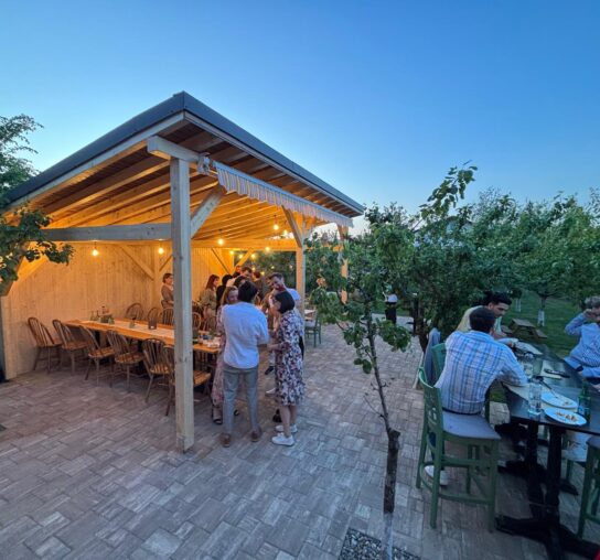 {{brizy_dc_image_alt imageSrc=