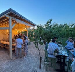 {{brizy_dc_image_alt imageSrc=